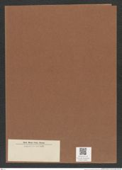 Diatomeae indet. Zeichnungen Sammlung Grunow Mappe 05461 (Herbarium_W_Grunow_drawings_Folder_05461)